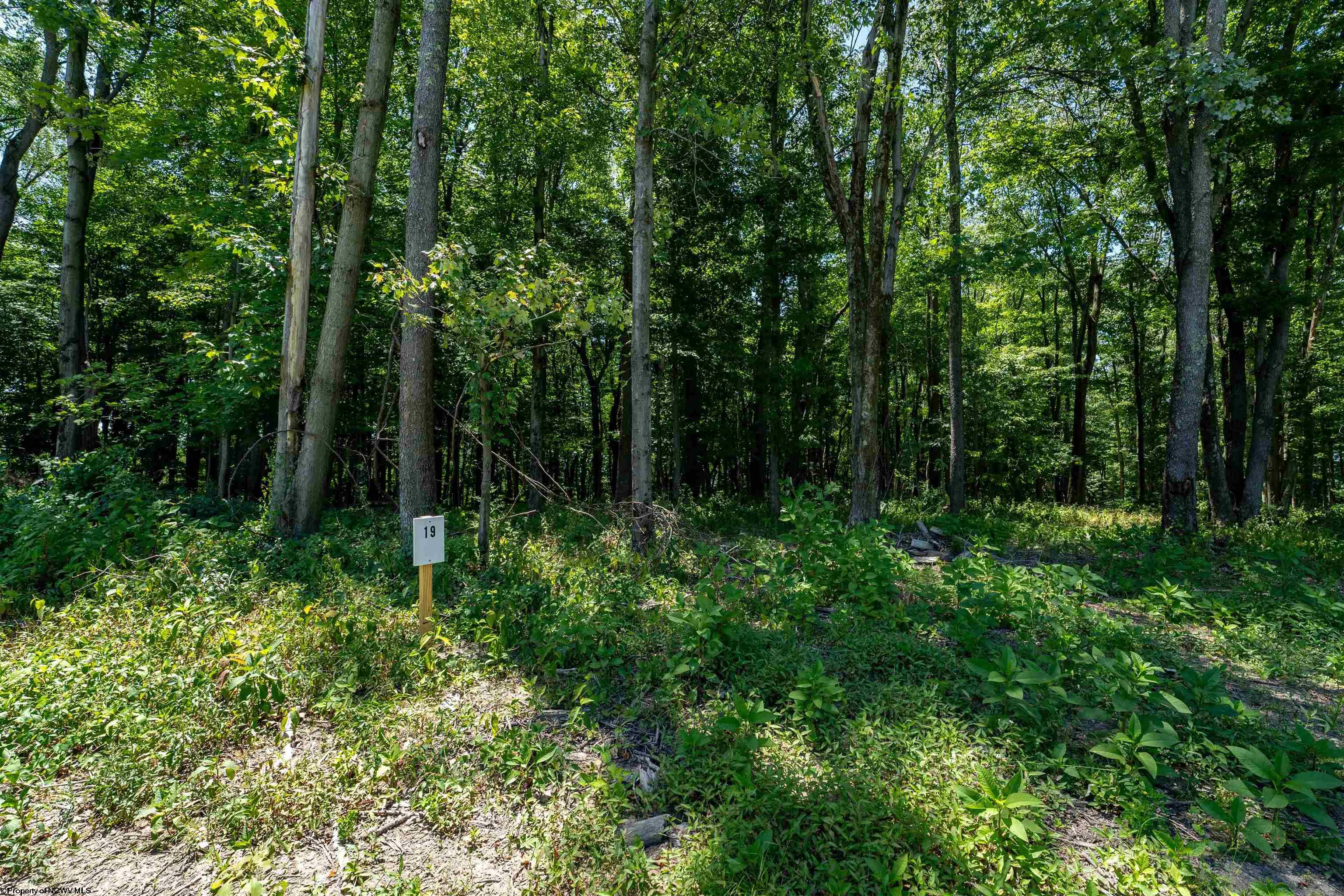 19 Bowers Lane Morgantown WV 26508