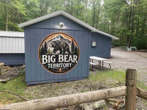 0 Little Beaver Creek Road Bruceton Mills WV 26525