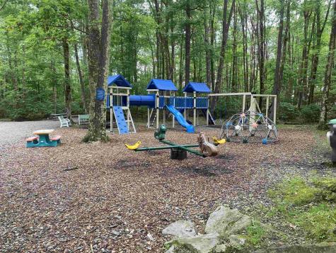 0 Little Beaver Creek Road Bruceton Mills WV 26525