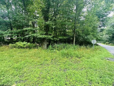 142 Dogwood Lane Terra Alta WV 26764