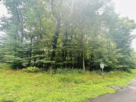 142 Dogwood Lane Terra Alta WV 26764