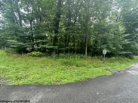 142 Dogwood Lane Terra Alta WV 26764