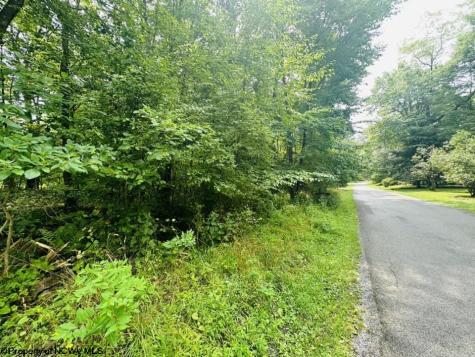 142 Dogwood Lane Terra Alta WV 26764