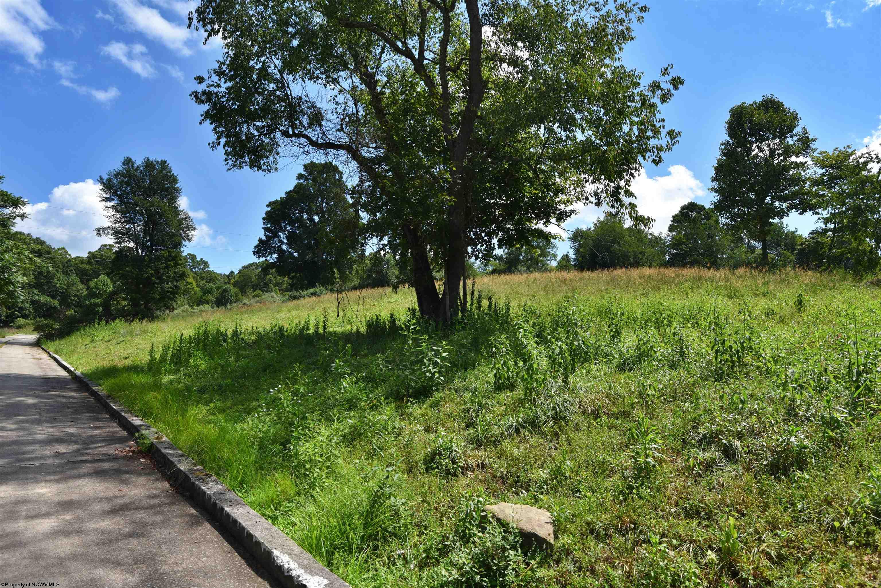 46 Carlson Drive Grafton WV 26354