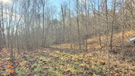 381 West Hill Road Grafton WV 26354