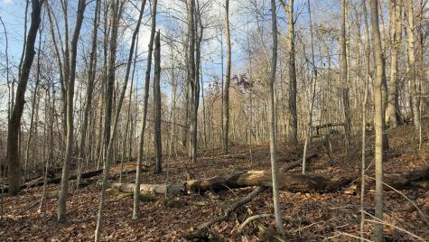 381 West Hill Road Grafton WV 26354