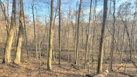 381 West Hill Road Grafton WV 26354