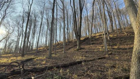 381 West Hill Road Grafton WV 26354