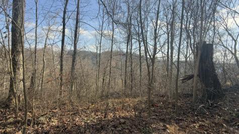 381 West Hill Road Grafton WV 26354