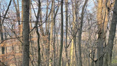 381 West Hill Road Grafton WV 26354