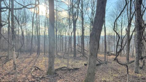 381 West Hill Road Grafton WV 26354