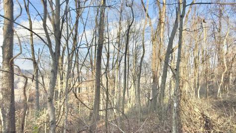 381 West Hill Road Grafton WV 26354