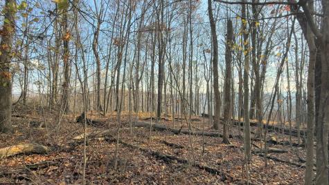 381 West Hill Road Grafton WV 26354