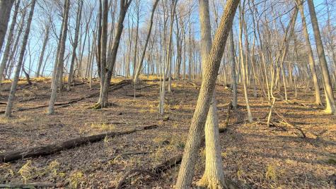 381 West Hill Road Grafton WV 26354