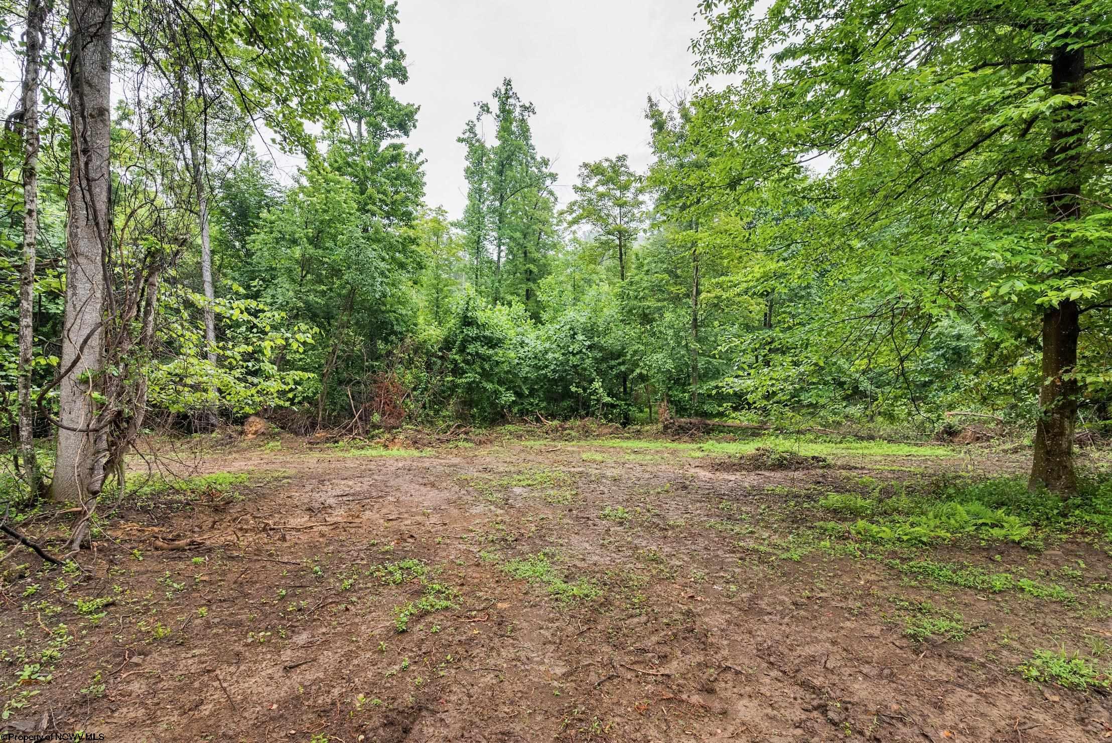 7 Burnt Cabin Road Fairmont WV 26554