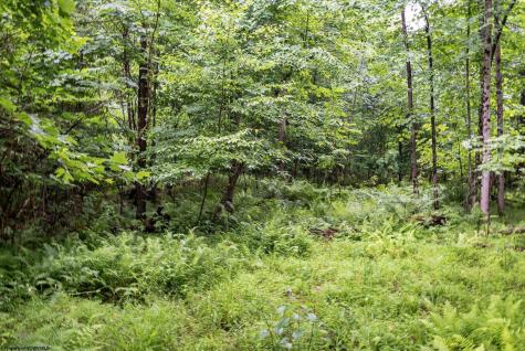 7 Burnt Cabin Road Fairmont WV 26554