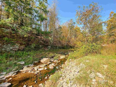 Lot 2 Blizzards Gate Road Harman WV 26270