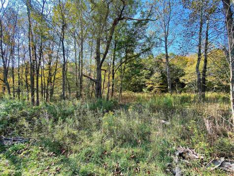 2 Blizzards Gate Road Harman WV 26270