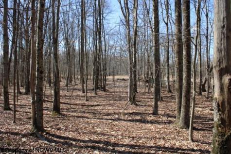 7 Sand Bank Heights Road Masontown WV 26542