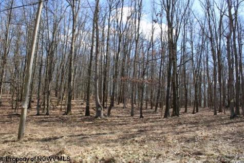 7 Sand Bank Heights Road Masontown WV 26542