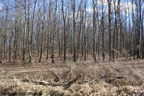 7 Sand Bank Heights Road Masontown WV 26542