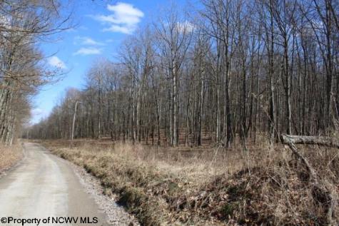 7 Sand Bank Heights Road Masontown WV 26542