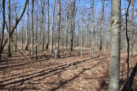 7 Sand Bank Heights Road Masontown WV 26542