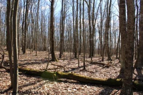 7 Sand Bank Heights Road Masontown WV 26542
