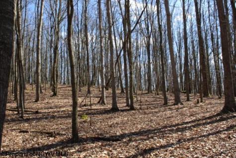 7 Sand Bank Heights Road Masontown WV 26542
