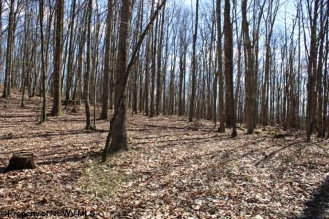 7 Sand Bank Heights Road Masontown WV 26542