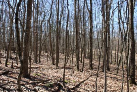 7 Sand Bank Heights Road Masontown WV 26542