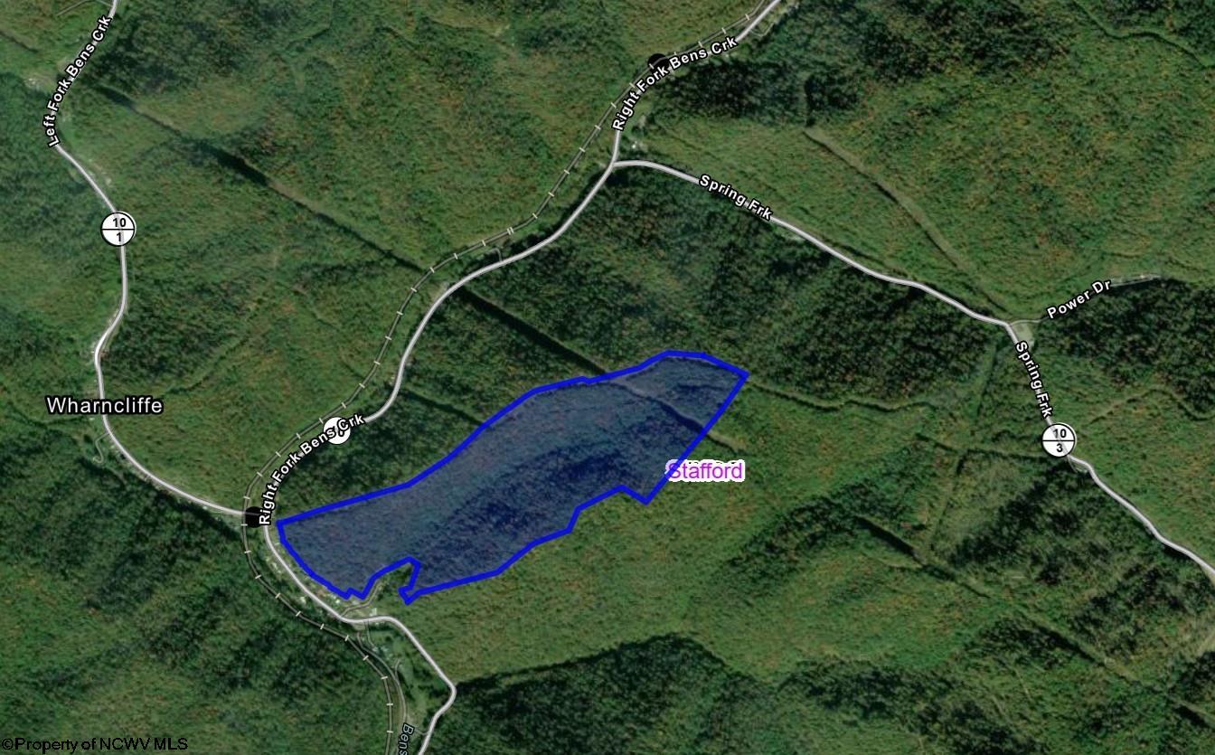 0 Family Lane Wharncliffe WV 25651