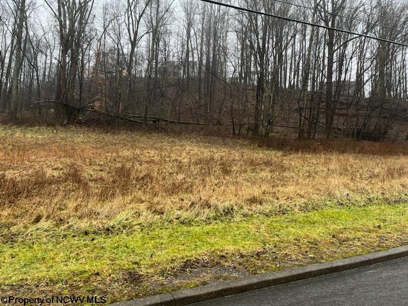 5 Meadowland Drive Morgantown WV 26505