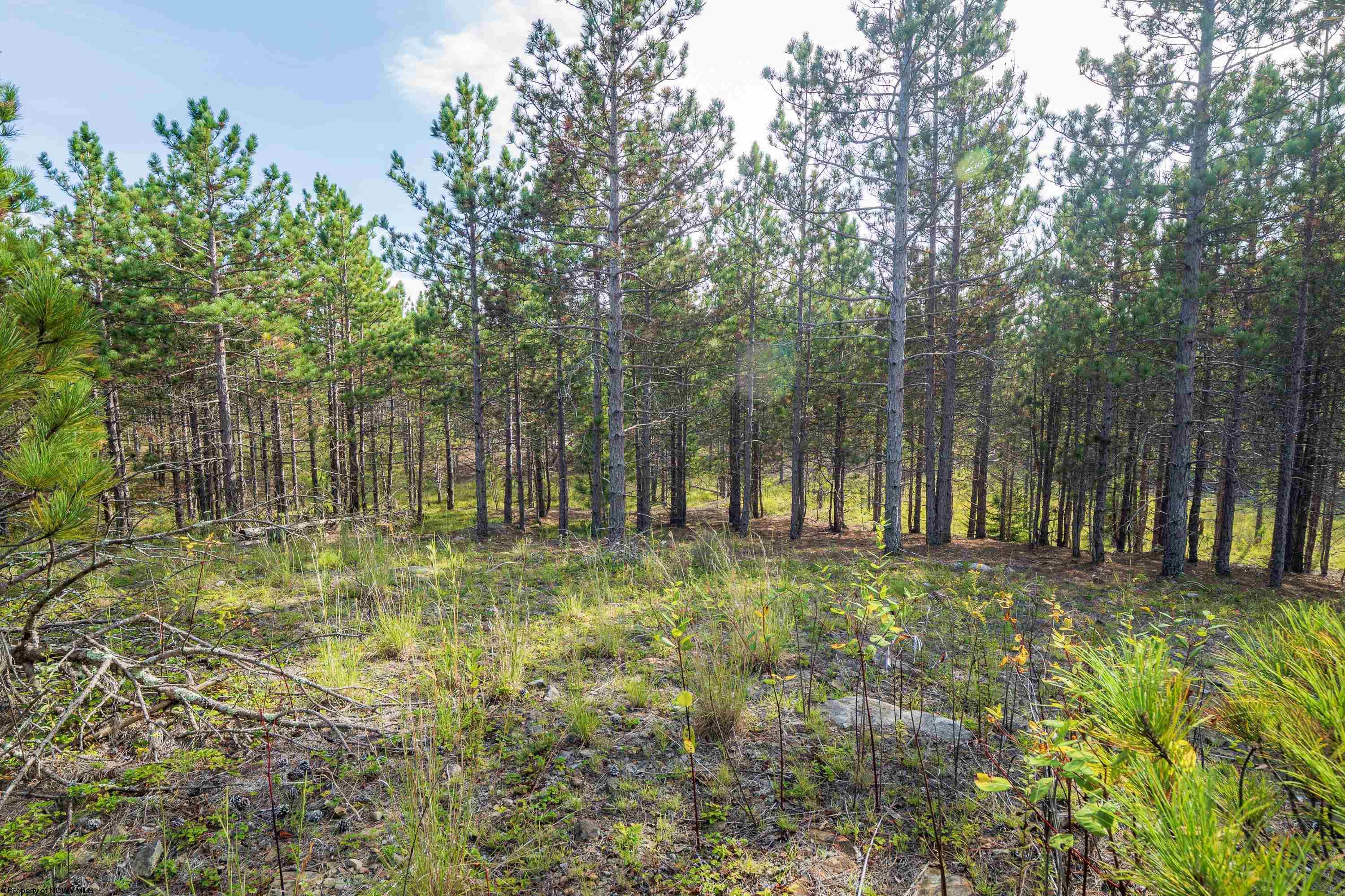 2 Crosscut Way Davis WV 26260