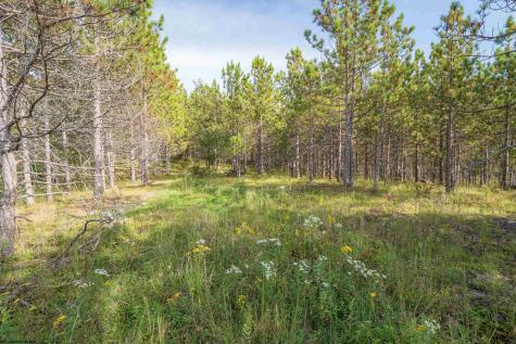 2 Crosscut Way Davis WV 26260