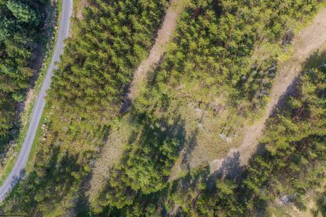 2 Crosscut Way Davis WV 26260