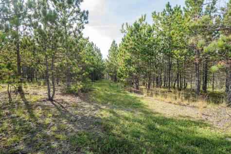 2 Crosscut Way Davis WV 26260
