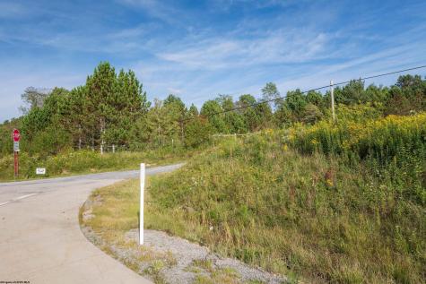 2 Crosscut Way Davis WV 26260