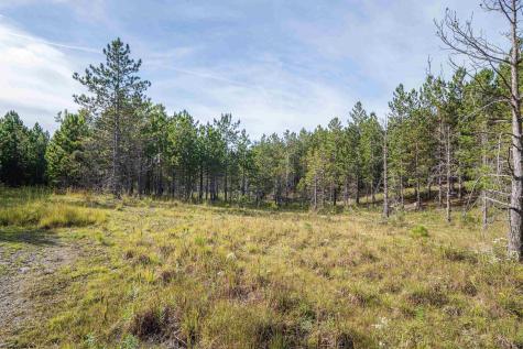 2 Crosscut Way Davis WV 26260