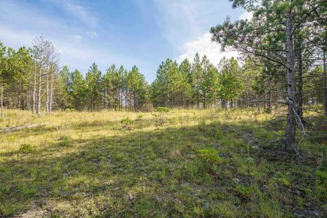 2 Crosscut Way Davis WV 26260