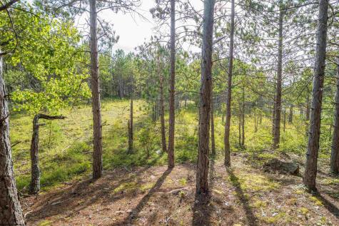 2 Crosscut Way Davis WV 26260