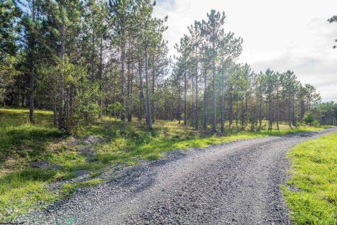 2 Crosscut Way Davis WV 26260