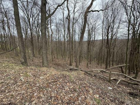 0 Eastwood Lane Morgantown WV 26508