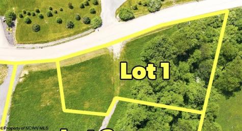 0 Laurel Run Pisgah Road Bruceton Mills WV 26525