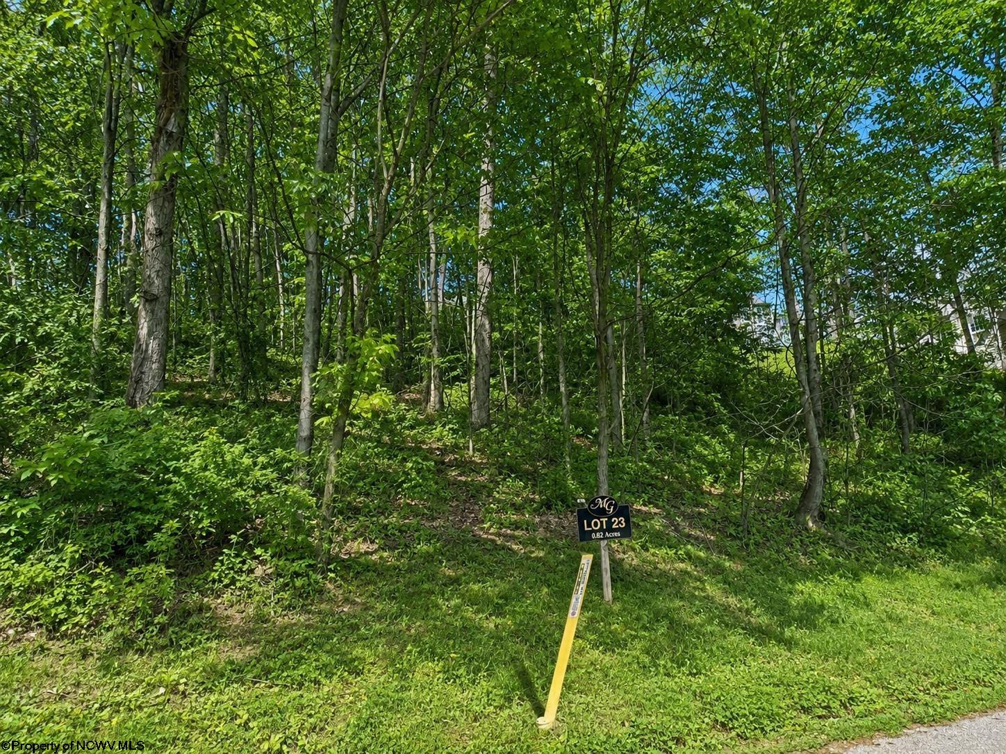 108 Iris Lane Morgantown WV 26501