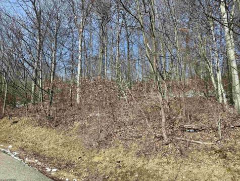 108 Iris Lane Morgantown WV 26501
