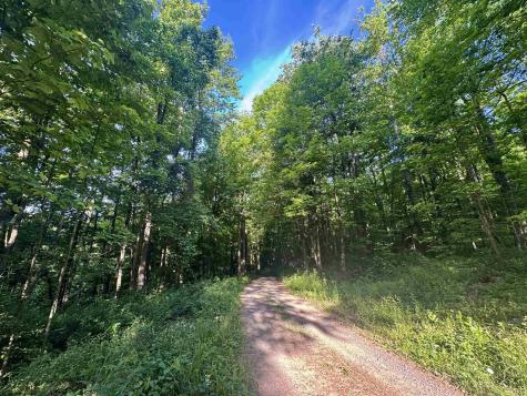0 Calvert Shaver Road Rowlesburg WV 26425