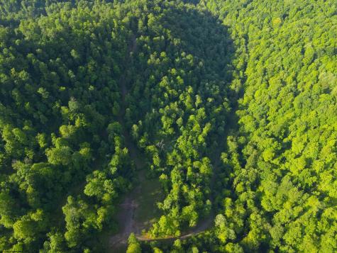 0 Calvert Shaver Road Rowlesburg WV 26425