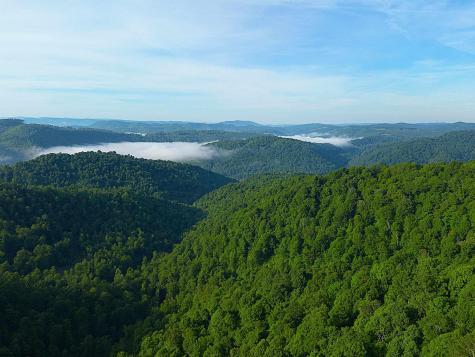 0 Calvert Shaver Road Rowlesburg WV 26425