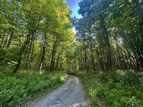 0 Calvert Shaver Road Rowlesburg WV 26425